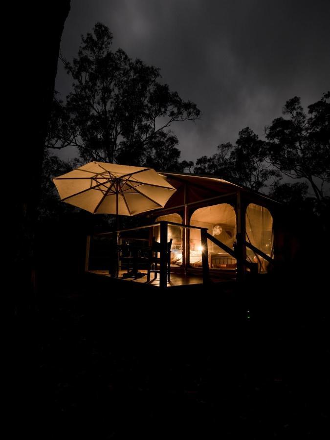 Wild Nature Lodge, Mareeba Wetlands Biboohra Kültér fotó