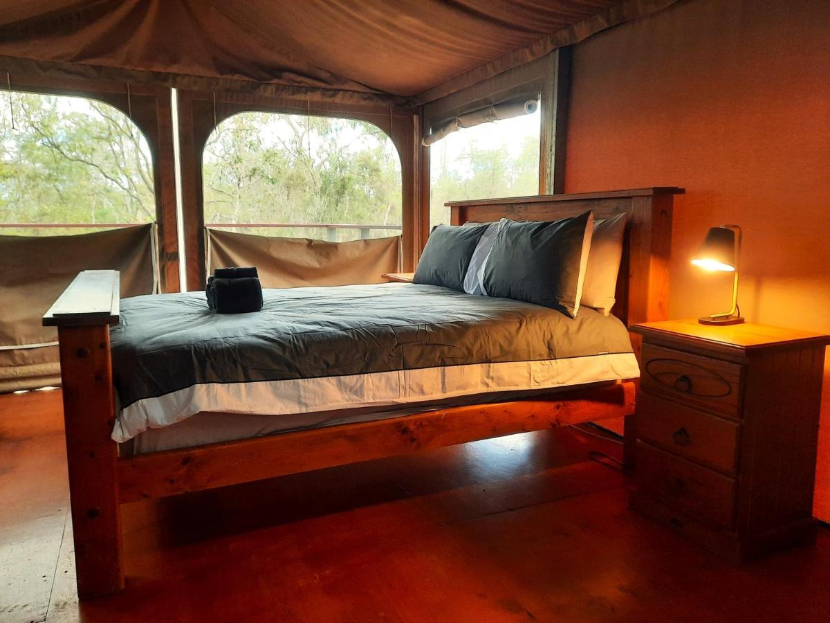 Wild Nature Lodge, Mareeba Wetlands Biboohra Kültér fotó