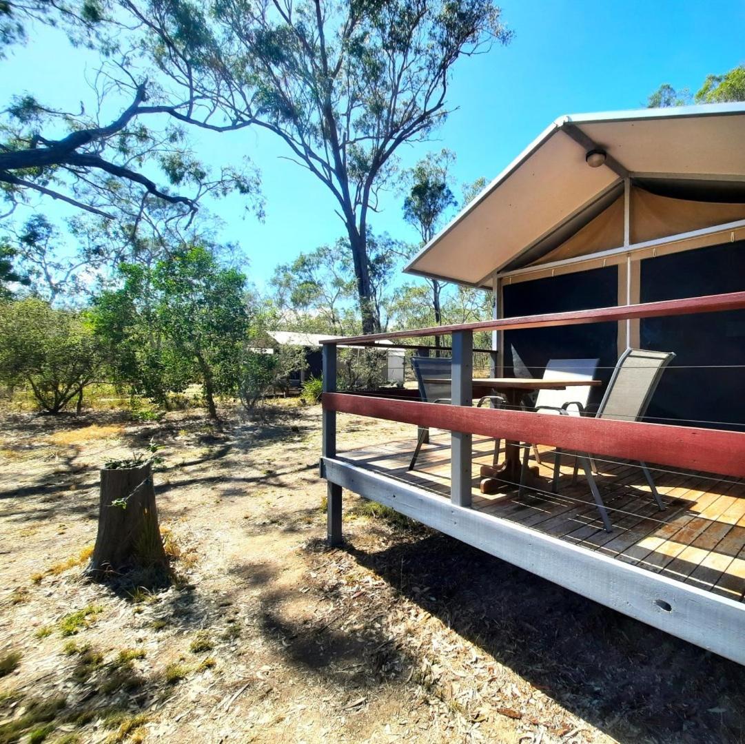 Wild Nature Lodge, Mareeba Wetlands Biboohra Kültér fotó