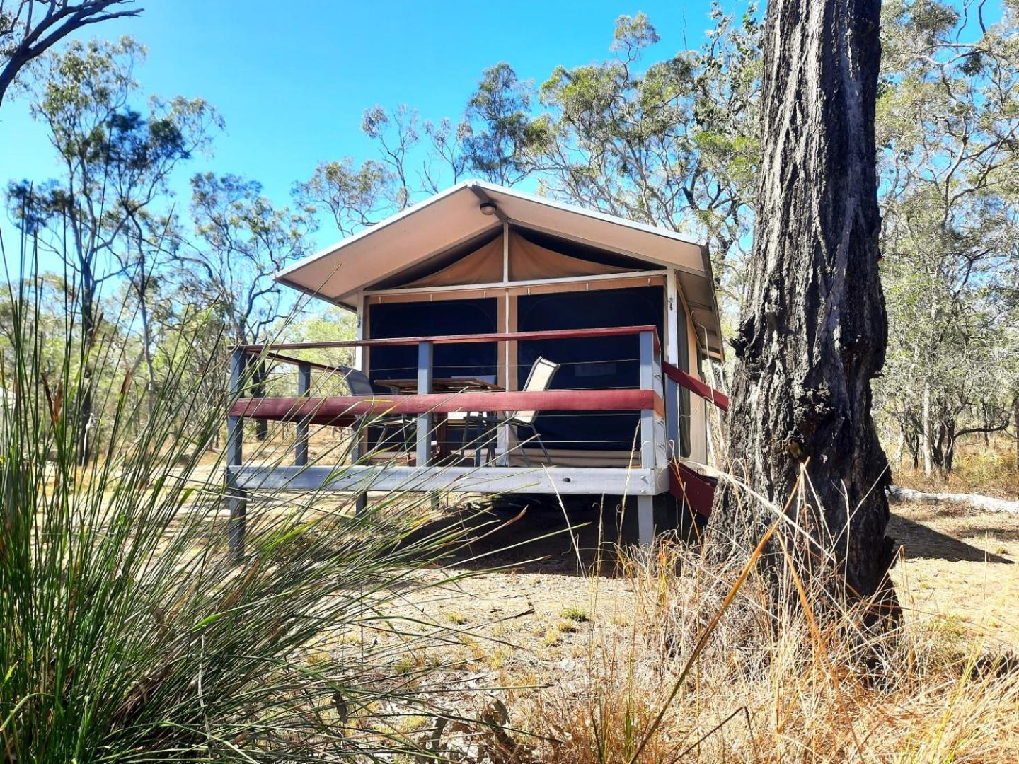 Wild Nature Lodge, Mareeba Wetlands Biboohra Kültér fotó