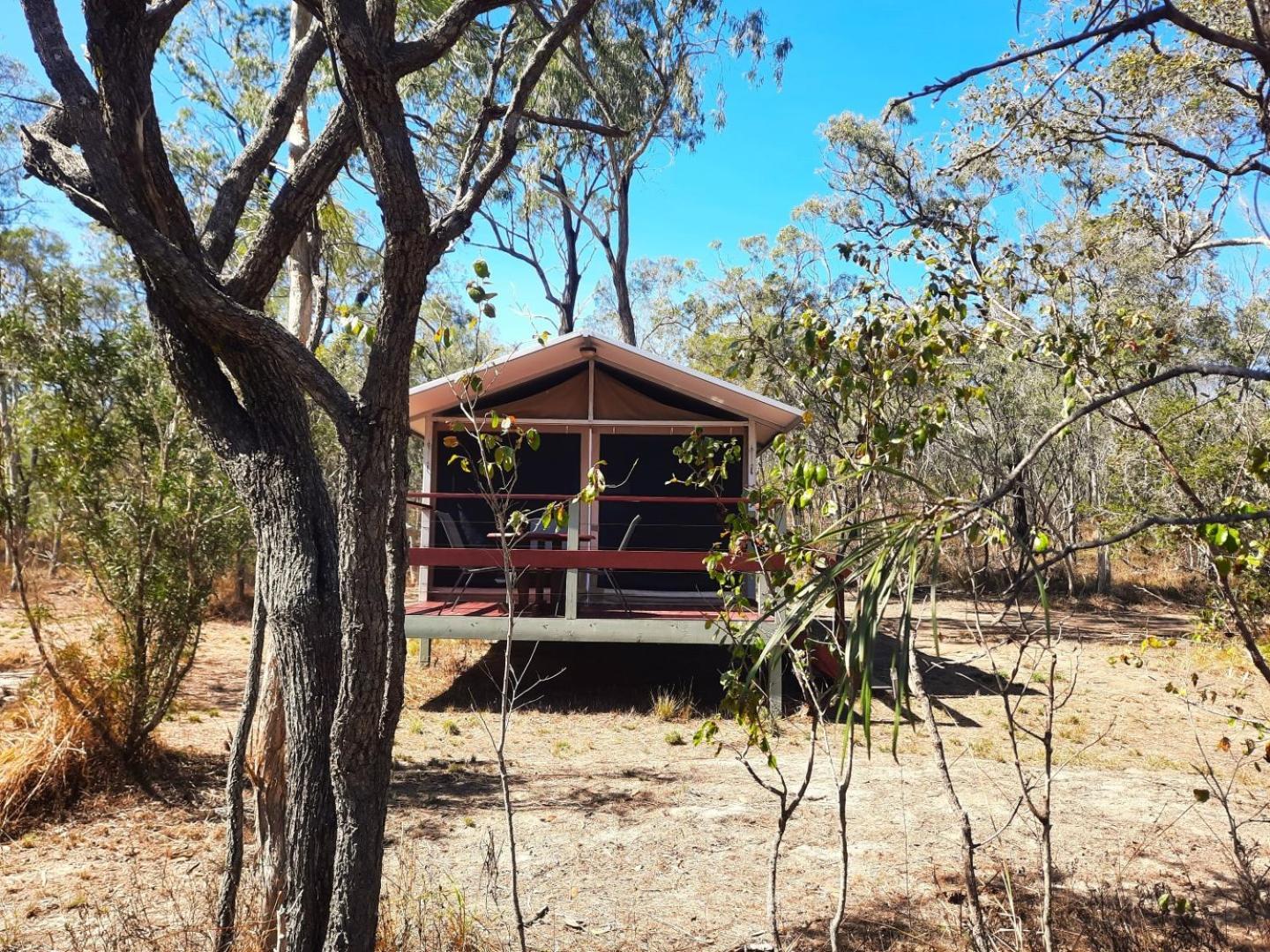 Wild Nature Lodge, Mareeba Wetlands Biboohra Kültér fotó
