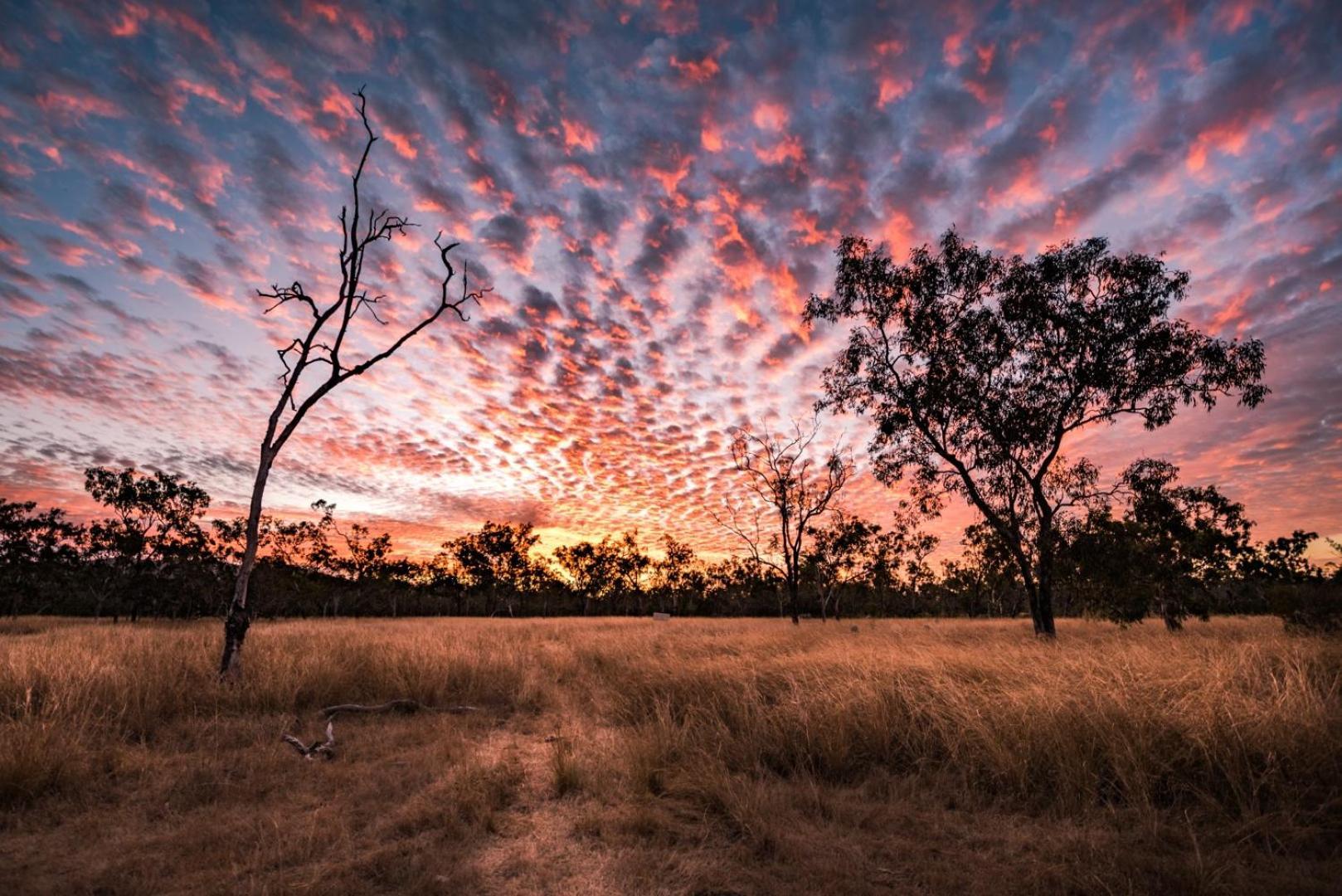 Wild Nature Lodge, Mareeba Wetlands Biboohra Kültér fotó